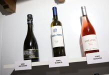 Un espumoso de Vinícola de Tomelloso, entre los mejores vinos escogidos en Fercam