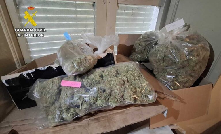 Cinco detenidos y desmantelados tres puntos de producción de marihuana en Albacete