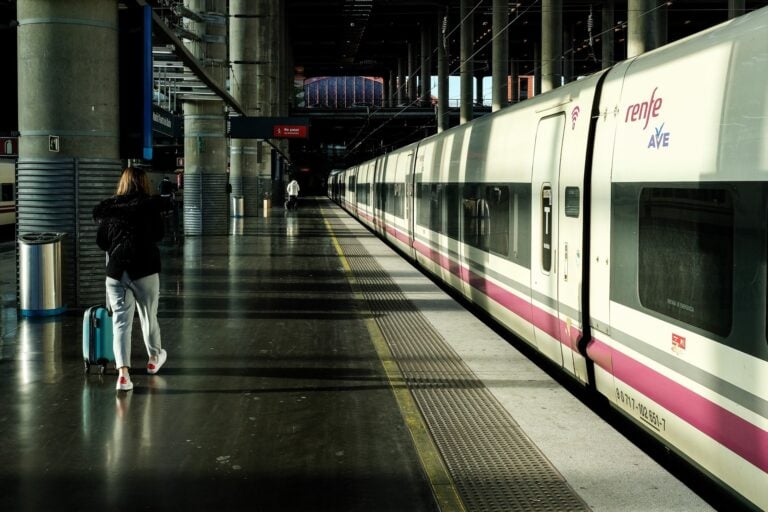 Restablecidos los trenes entre Madrid y Barcelona tras un incendio próximo a una vía de Guadalajara