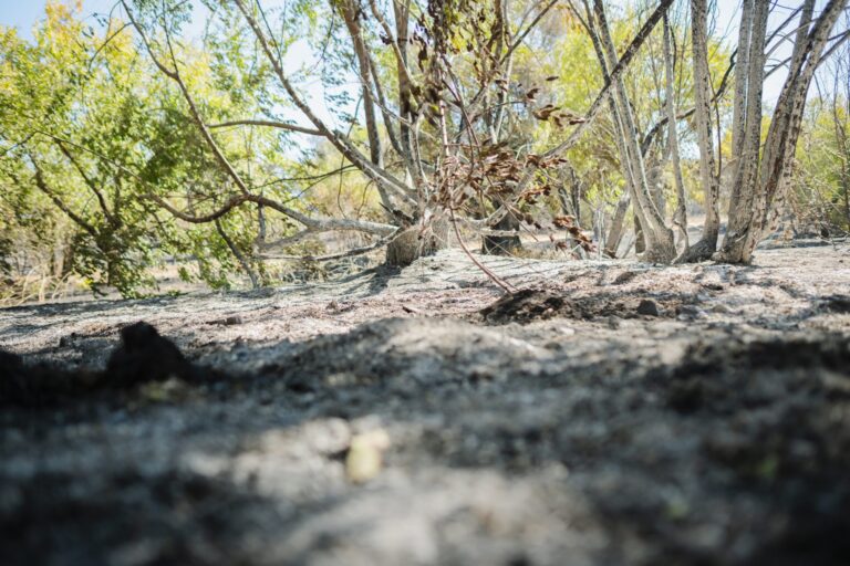 Vox asocia la propagación de incendios «al abandono» de las carreteras por parte de la Junta