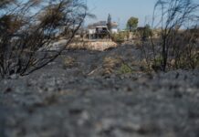 Extinguidos los incendios forestales de Méntrida, Maqueda y Los Pozuelos de Calatrava