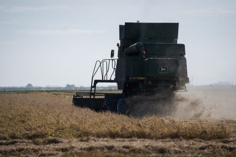 El cereal, eje de las ayudas a jóvenes y de las inversiones en modernización agraria en C-LM