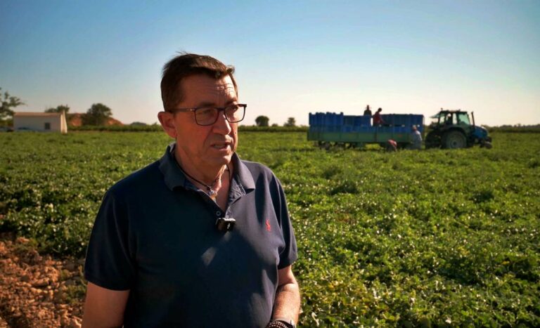 El sabor del verano llega desde Tomelloso… aunque los precios preocupan