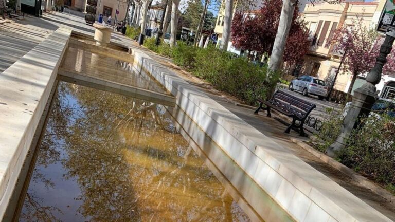 PSOE Tomelloso reclama un servicio de limpieza estable para evitar la suciedad en el municipio
