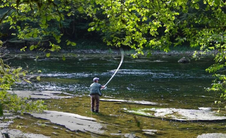 Cómo obtener la licencia de pesca en Castilla-La Mancha en 2025