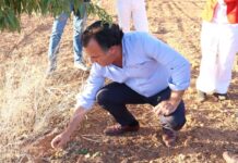 Vox denuncia que «C-LM tiene más población de conejos cada año, pero su caza ha disminuido un 17 %»