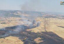 Suspendida la circulación del AVE entre Madrid y Andalucía por un incendio en Ciudad Real