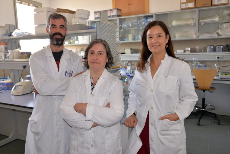 Un estudio de la UCLM concluye que combinar cocaína y alcohol produce un daño cerebral mayor que consumirlo por separado