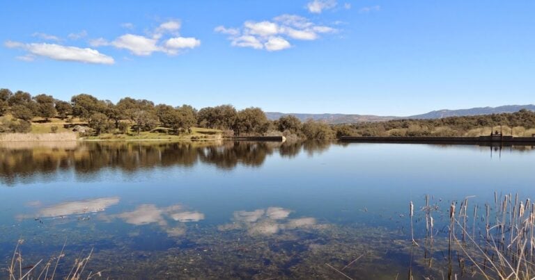 El Pantano de Carboneras, un enclave veraniego en Ciudad Real con playa, naturaleza y astroturismo