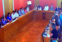 El Pleno exige soluciones por la plaga de conejos y defiende la Escuela de Idiomas