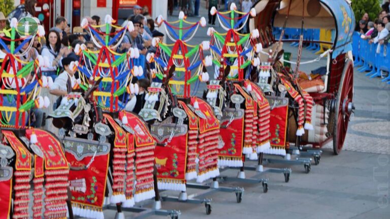 La Hermandad de la Virgen de las Viñas da a conocer los premiados de los concursos populares de la Romería 2025