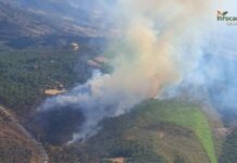Extinguido el incendio declarado en Salobre el pasado lunes
