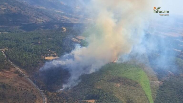 Extinguido el incendio declarado en Salobre el pasado lunes