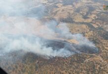 El incendio de Navalmoralejo arrasa más de 3.000 hectáreas y está perimetrado al 90%
