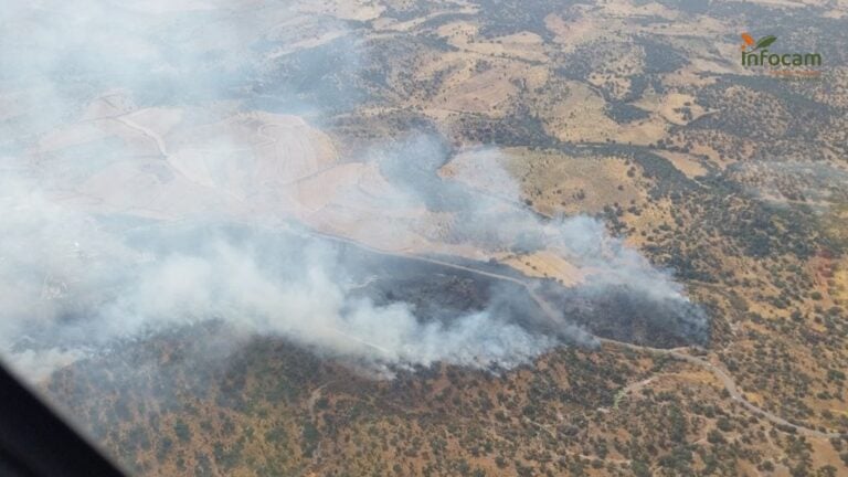 Extinguido el incendio de Navalmoralejo que se inició este lunes