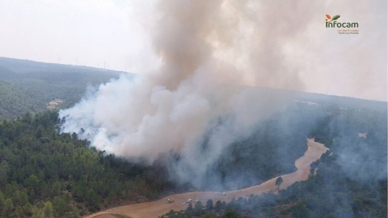 CCAA tendrán que cumplir criterios comunes en los planes de prevención de incendios