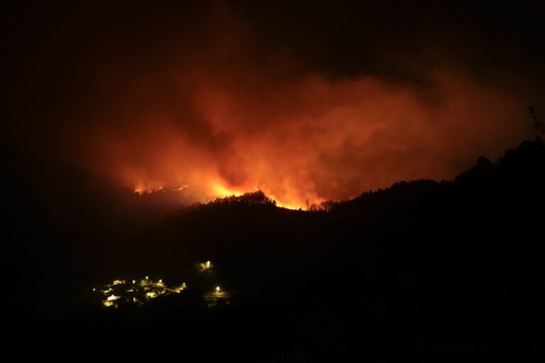 Unas 336.345 hectáreas en España se han quemado en agosto por los incendios forestales