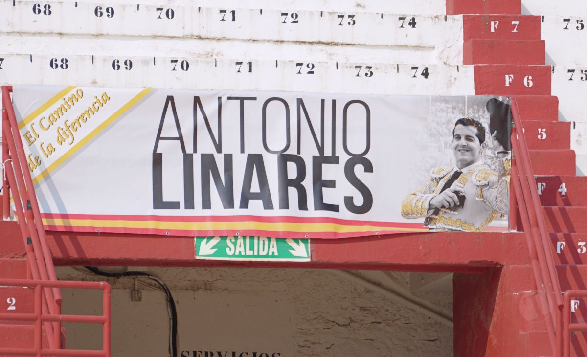 Antonio Linares: “Torear en Tomelloso es una responsabilidad muy bonita, salgo a darlo todo por los míos”