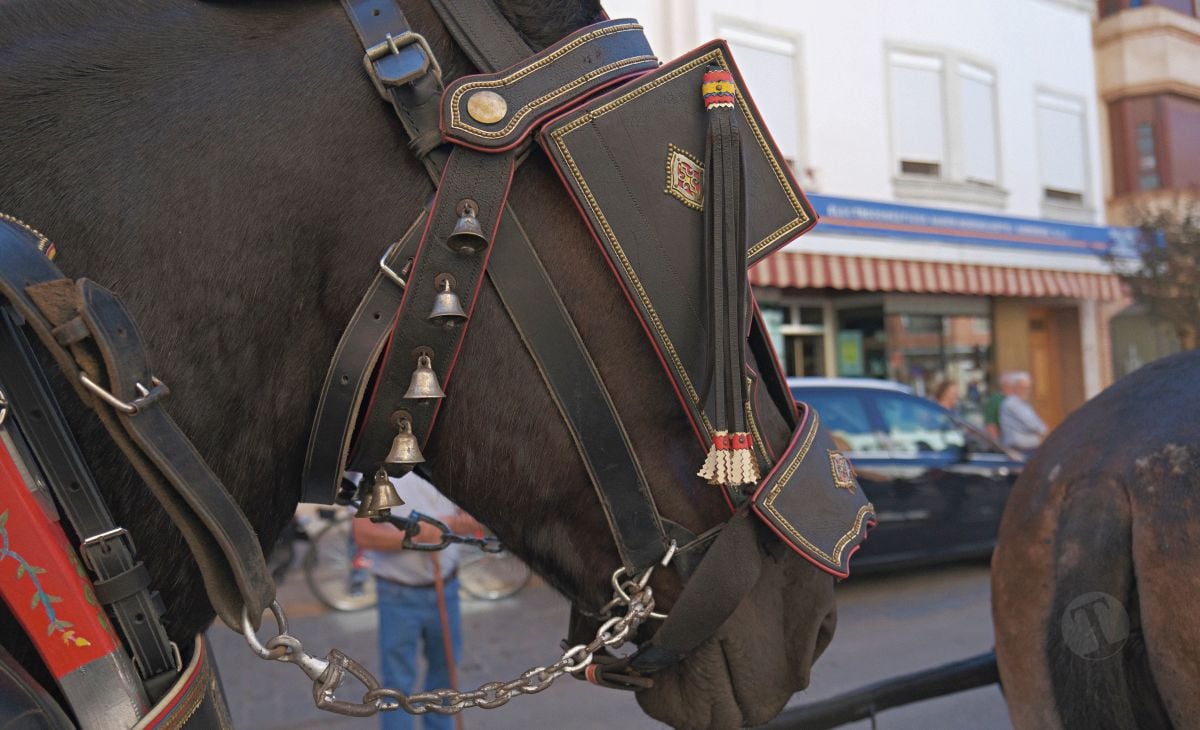 Mulas y carros, tradición viva en la Feria de Tomelloso