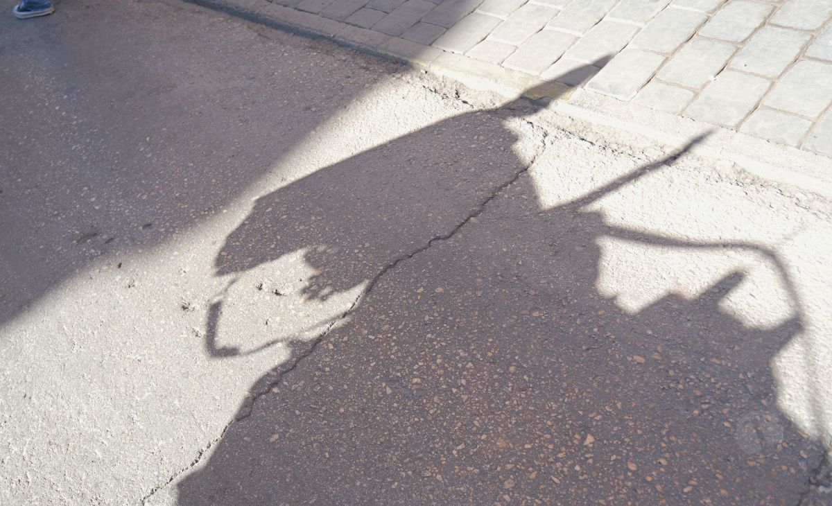 Mulas y carros, tradición viva en la Feria de Tomelloso