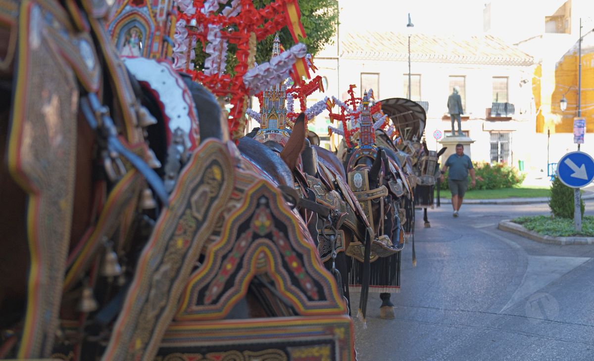Mulas y carros, tradición viva en la Feria de Tomelloso