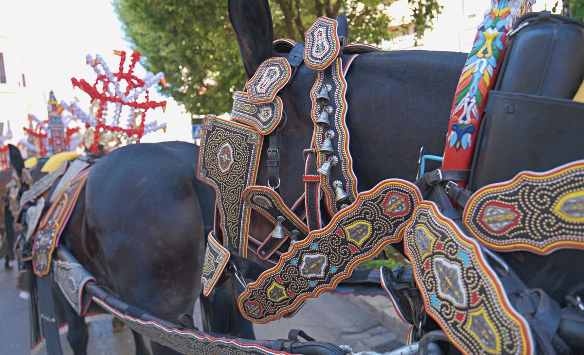 Mulas y carros, tradición viva en la Feria de Tomelloso