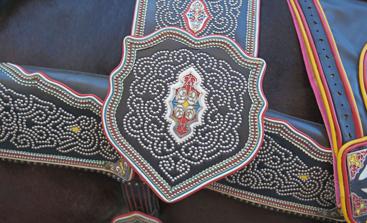 Mulas y carros, tradición viva en la Feria de Tomelloso