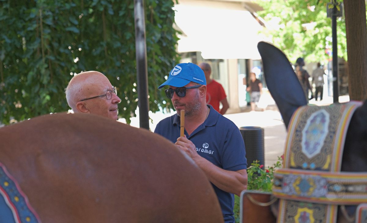 Mulas y carros, tradición viva en la Feria de Tomelloso
