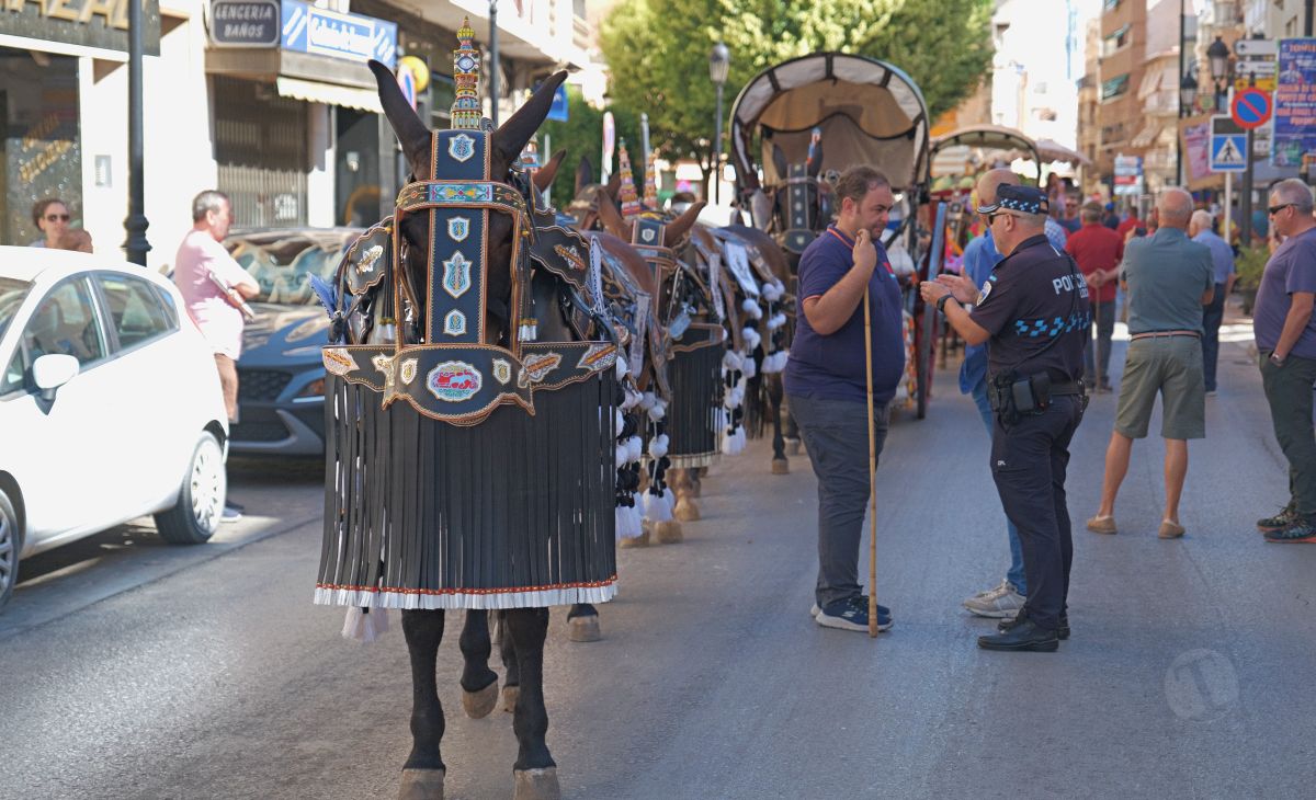 Mulas y carros, tradición viva en la Feria de Tomelloso