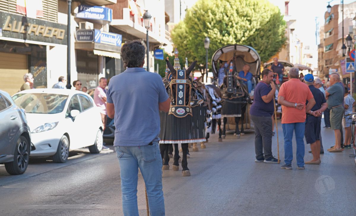 Mulas y carros, tradición viva en la Feria de Tomelloso