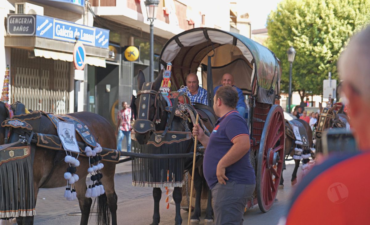 Mulas y carros, tradición viva en la Feria de Tomelloso