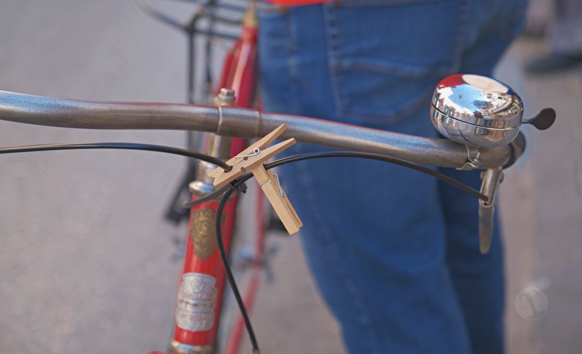 Mulas y carros, tradición viva en la Feria de Tomelloso