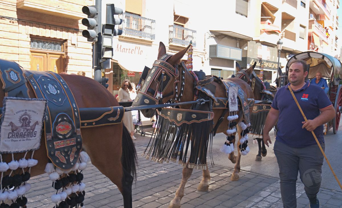Mulas y carros, tradición viva en la Feria de Tomelloso