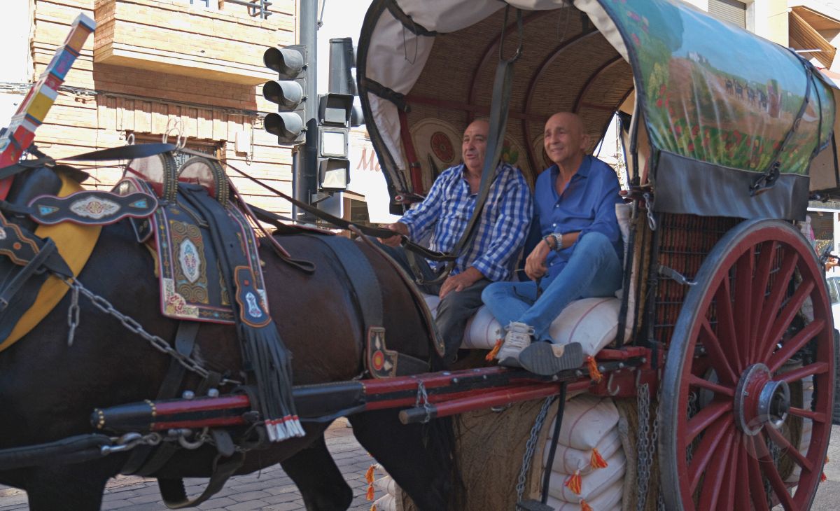 Mulas y carros, tradición viva en la Feria de Tomelloso