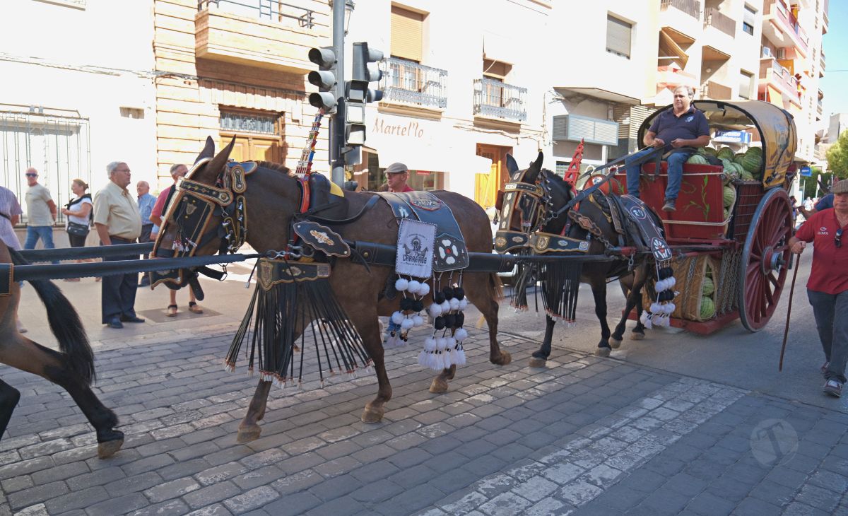 Mulas y carros, tradición viva en la Feria de Tomelloso