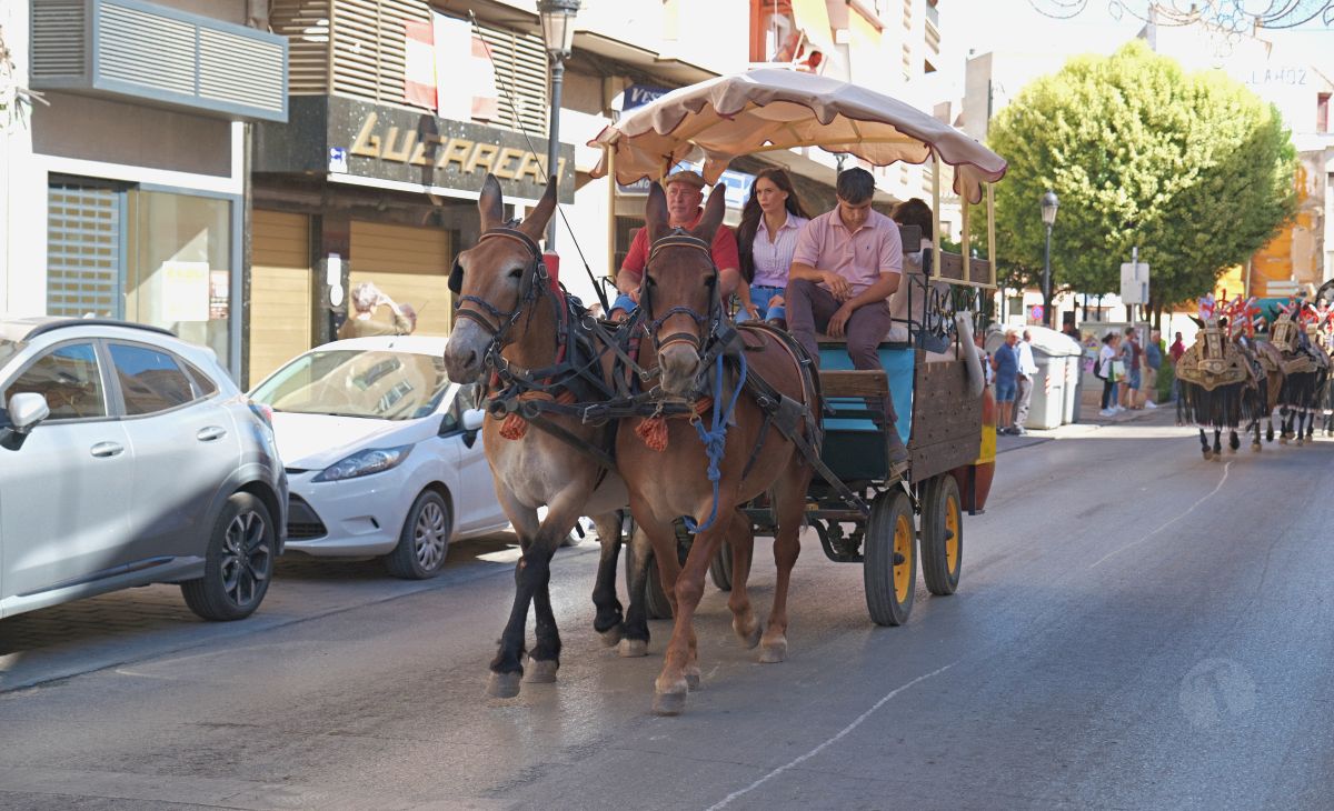 Mulas y carros, tradición viva en la Feria de Tomelloso