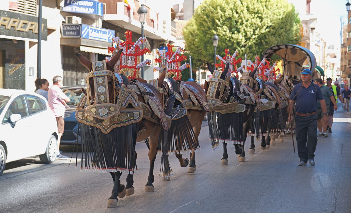 Mulas y carros, tradición viva en la Feria de Tomelloso