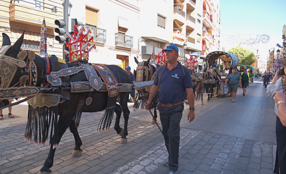 Mulas y carros, tradición viva en la Feria de Tomelloso