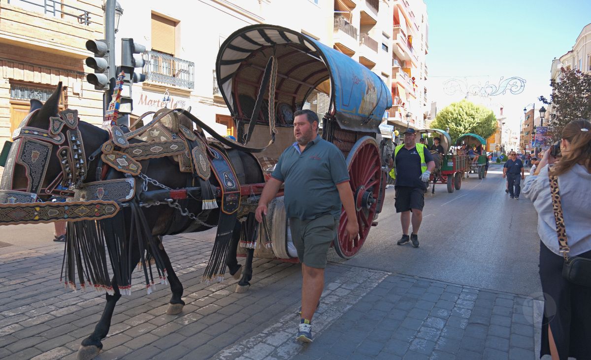 Mulas y carros, tradición viva en la Feria de Tomelloso