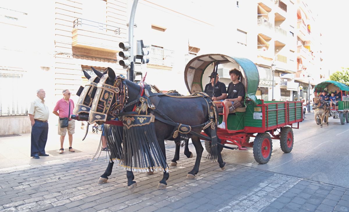Mulas y carros, tradición viva en la Feria de Tomelloso
