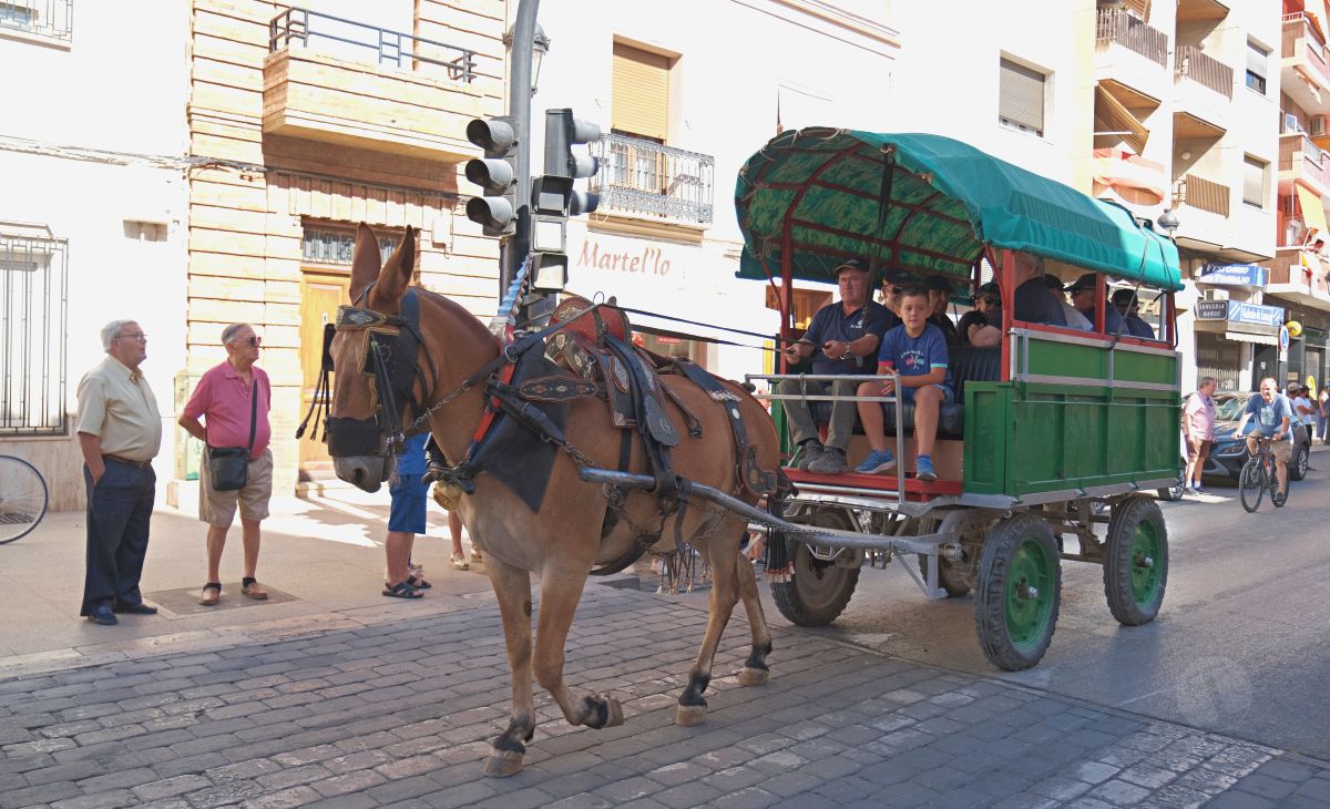 Mulas y carros, tradición viva en la Feria de Tomelloso