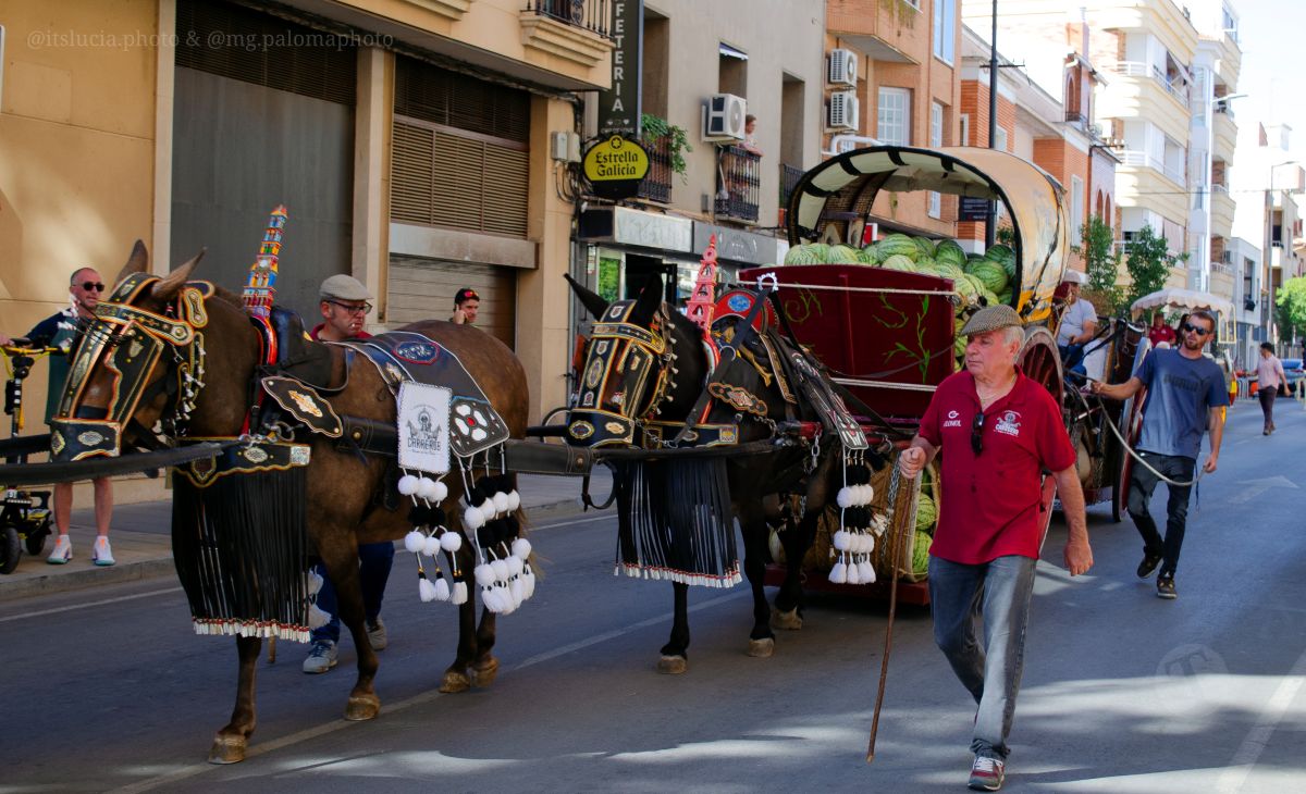 Mulas y carros, tradición viva en la Feria de Tomelloso