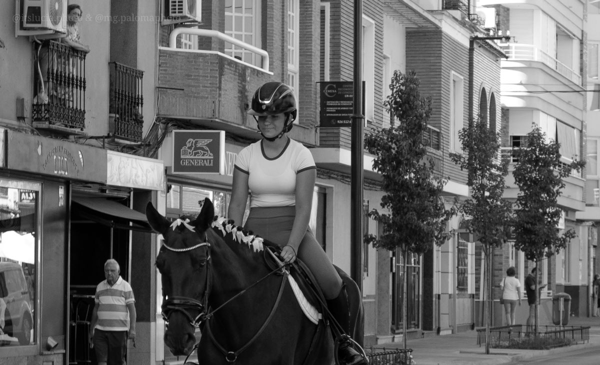 Mulas y carros, tradición viva en la Feria de Tomelloso