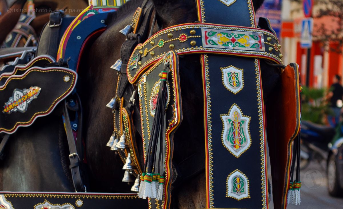 Mulas y carros, tradición viva en la Feria de Tomelloso