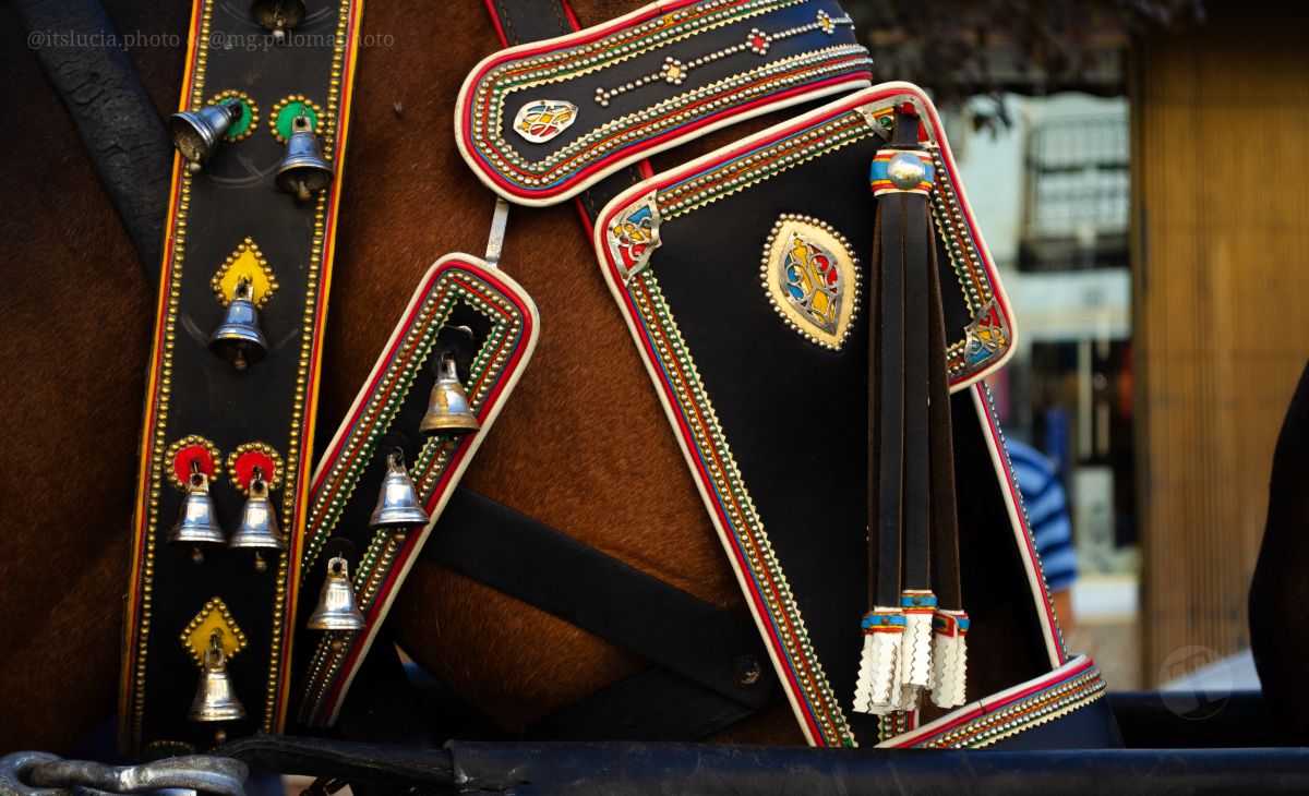 Mulas y carros, tradición viva en la Feria de Tomelloso