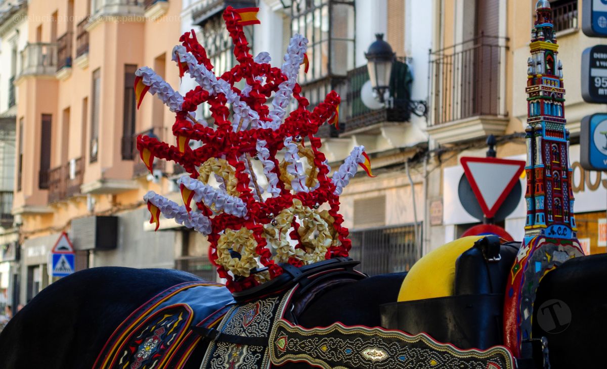 Mulas y carros, tradición viva en la Feria de Tomelloso