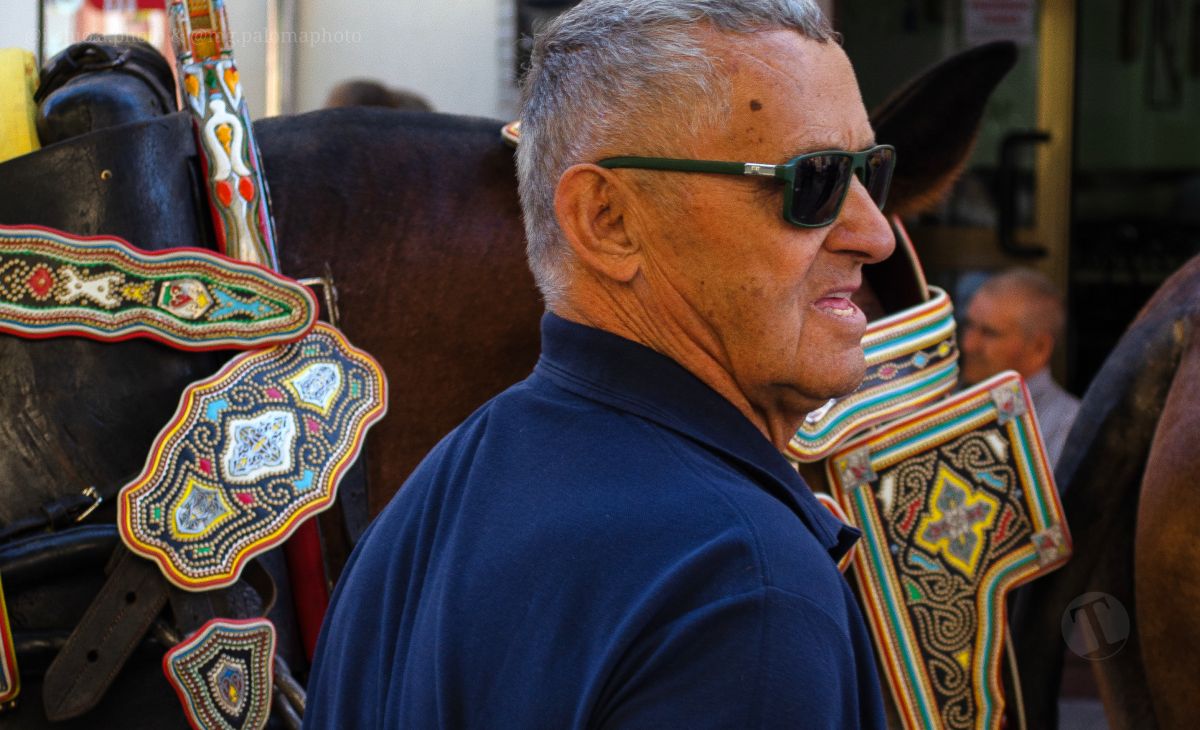 Mulas y carros, tradición viva en la Feria de Tomelloso