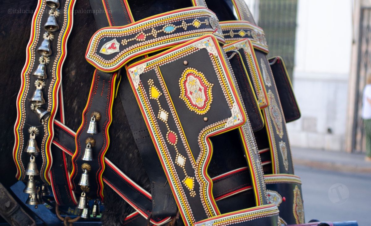 Mulas y carros, tradición viva en la Feria de Tomelloso