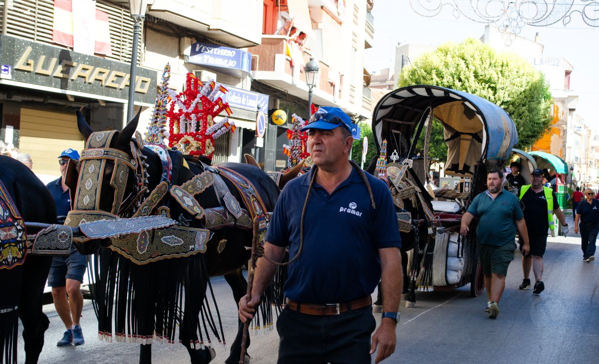 Mulas y carros, tradición viva en la Feria de Tomelloso
