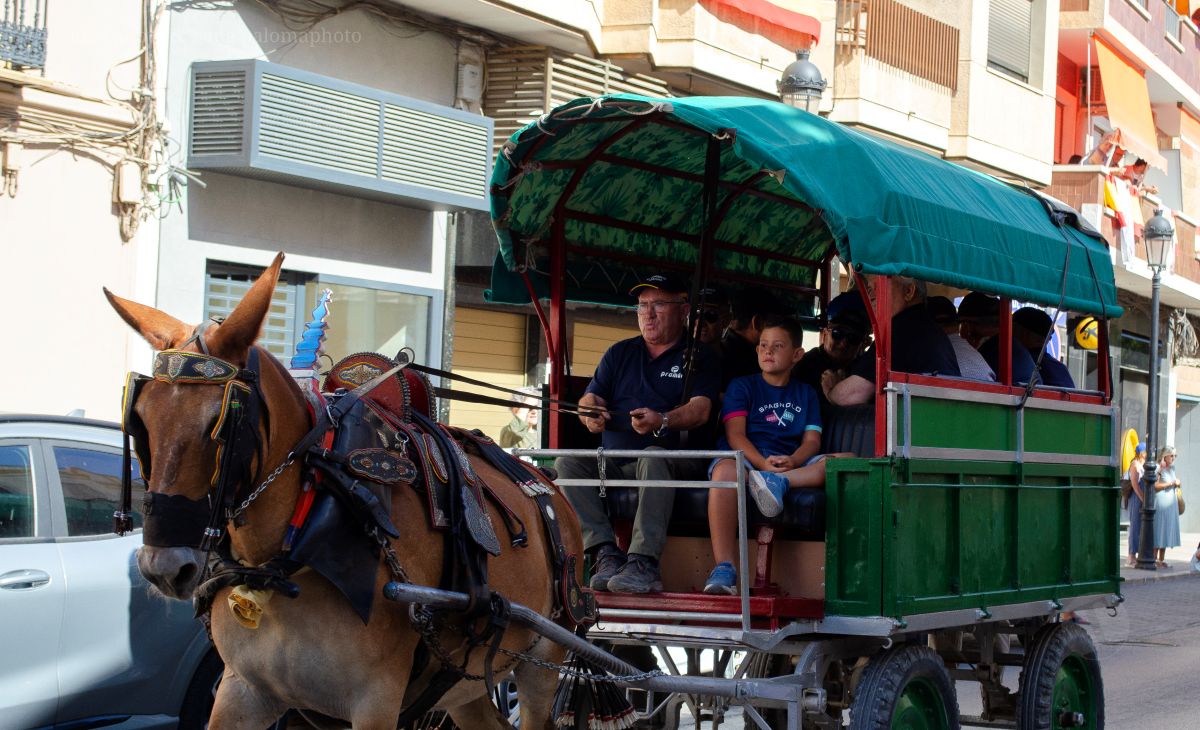 Mulas y carros, tradición viva en la Feria de Tomelloso